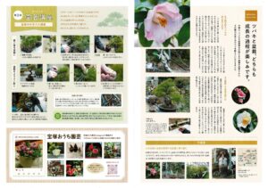GREEN FINGERS 2022年3月号